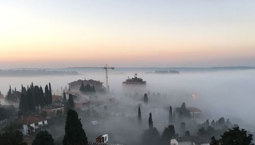 High angle shot of trees on misty landscape