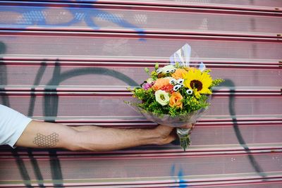 Close-up of hand holding flowers