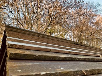 Low angle view of park bench by bare tree