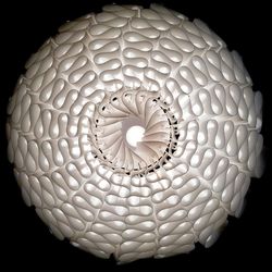 Close-up of light bulb against black background