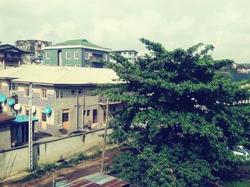 Houses and trees against sky