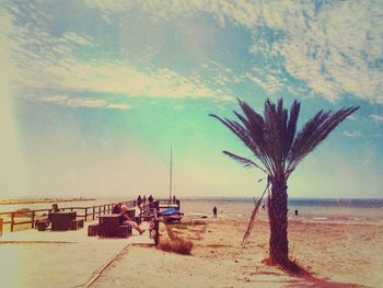 Palm trees on beach