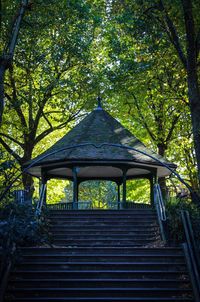 Low angle view of staircase in forest