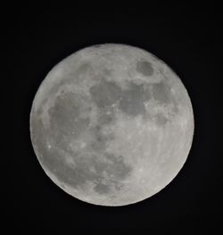 Low angle view of moon in sky
