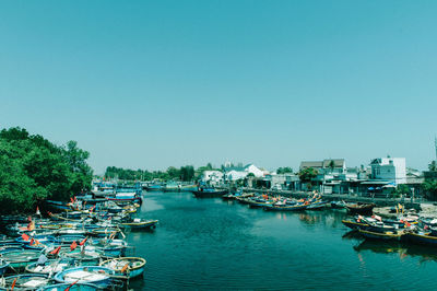 Sailboats moored in harbor