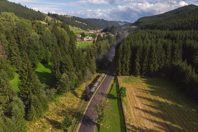 Panoramic shot of road amidst trees against sky