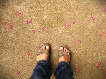 Low section of man standing amidst pink flowers on footpath