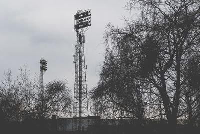 Low angle view of trees against sky