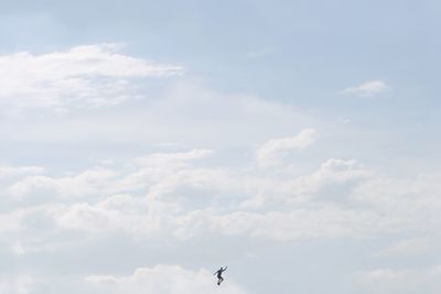 Low angle view of bird flying in sky