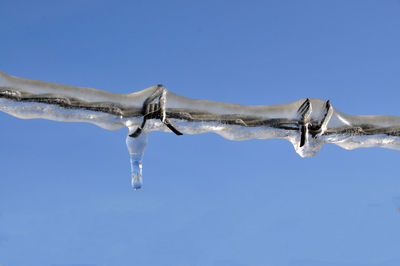 Low angle view of frozen barbed wire against blue sky during winter