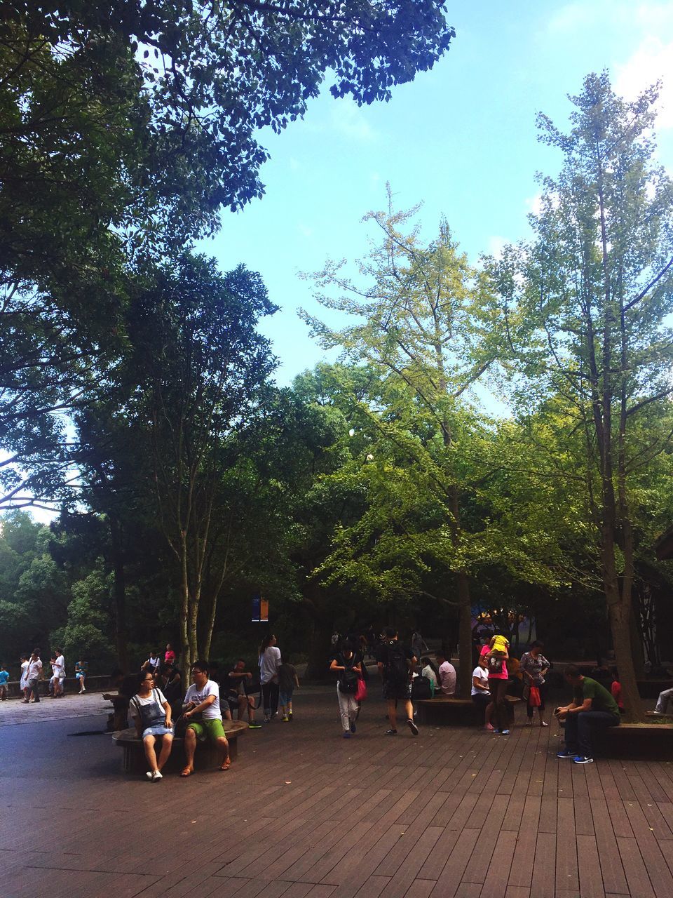 tree, men, transportation, shadow, clear sky, large group of people, leisure activity, lifestyles, person, park - man made space, day, travel destinations, growth, tranquil scene, outdoors, tourism, tranquility, footpath