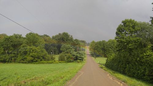 Road amidst trees against sky