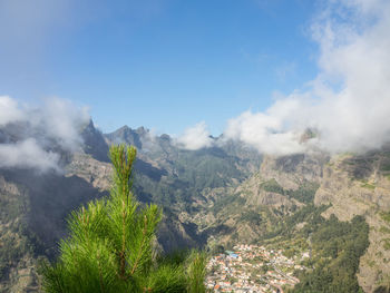 In the mountains of madeira