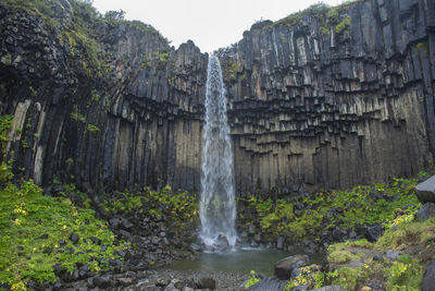 Scenic view of waterfall in forest