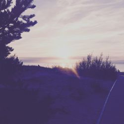 Scenic view of road against sky at sunset