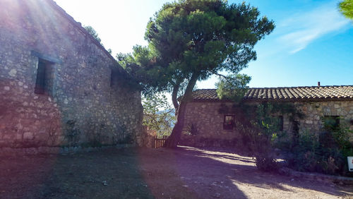 Trees by old building against sky