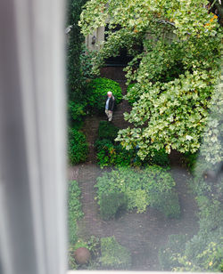 Man standing by tree