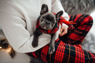 Midsection of woman holding dog