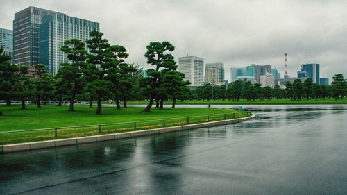 Park by buildings in city against sky