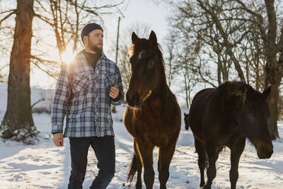 Man with horses