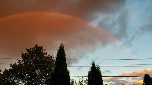 Rainbow over trees against sky