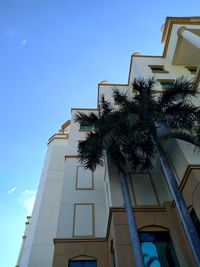 Low angle view of palm tree against building