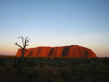 Scenic view of field against clear sky during sunset