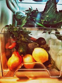 Fruits in container