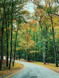 Road amidst trees in forest during autumn