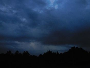 Low angle view of silhouette trees against sky at night