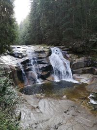 Scenic view of waterfall in forest