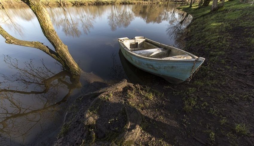 nautical vessel, boat, transportation, water, mode of transport, moored, lake, tree, tranquility, tranquil scene, reflection, nature, travel, beauty in nature, scenics, river, high angle view, day, rowboat, forest