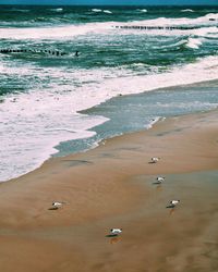 Scenic view of beach