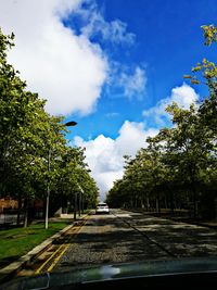 Road amidst trees against sky