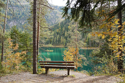 Empty bench in park