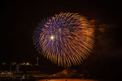 Firework display at night