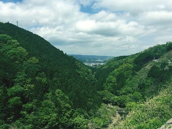 Scenic view of forest against sky