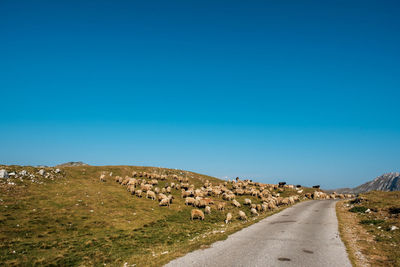 Road amidst land against clear blue sky