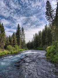 Scenic view of waterfall in forest against sky