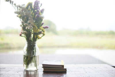 Close-up of potted plant on table