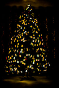 Close-up of illuminated christmas tree at night
