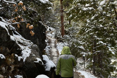 Snow covered forest walk