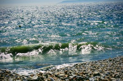 Scenic view of sea shore