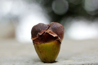 Close-up of fruit on table