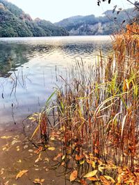 Scenic view of lake against sky