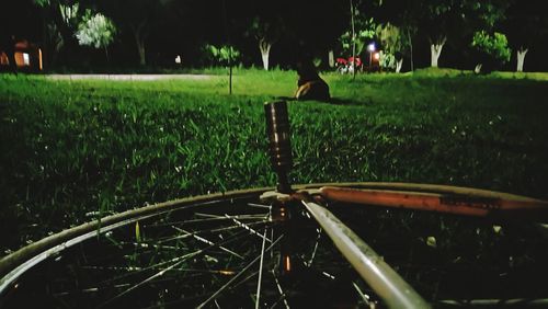 Man with bicycle on grass