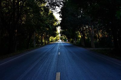 Empty road along trees in forest