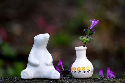 Close-up of flowers against blurred background