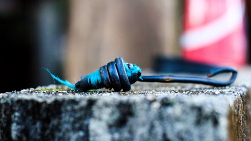 Close-up of insect on rock