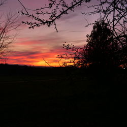 Silhouette trees on field against romantic sky at sunset